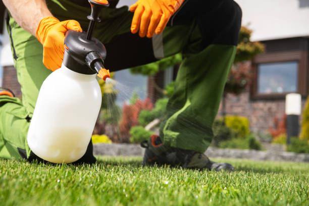Best Insect Control  in Shelby, OH