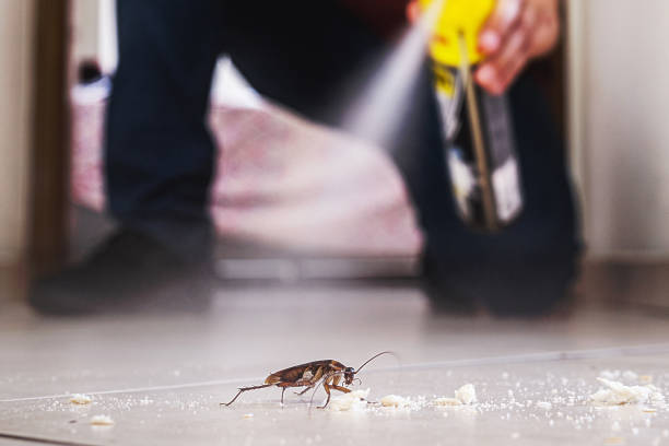 Best Pest Control Near Me  in Shelby, OH